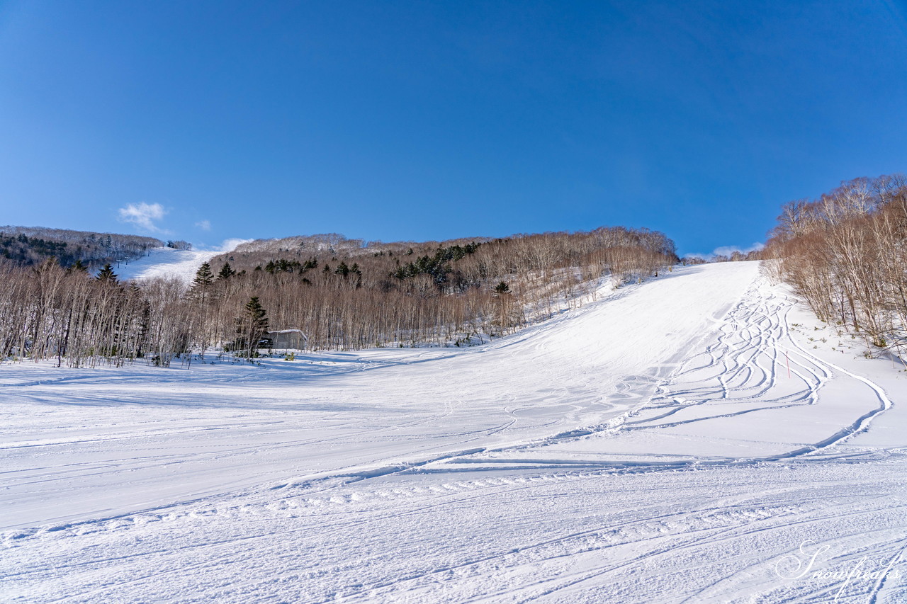 十勝サホロリゾート 快晴の空の下、極上の粉雪クルージングバーンを心ゆくまで味わう１日(*^^*)